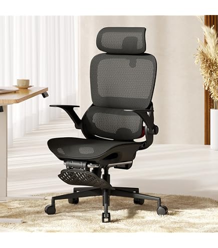Amazon.co.jp: Hara Chair ハラチェア ニーチェ 《標準モデル